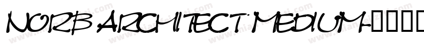 NorB Architect Medium字体转换